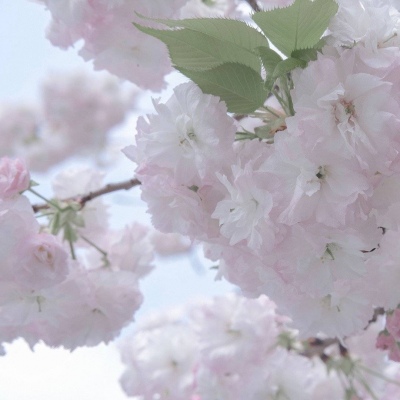 邛崃FurryQQ群介绍